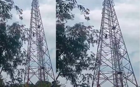 सीतापुर में हाईवोल्टेज ड्रामा: प्रेमी की दूसरी जगह शादी तय होने पर मोबाइल टावर पर चढ़ी तीन बच्चों की मां