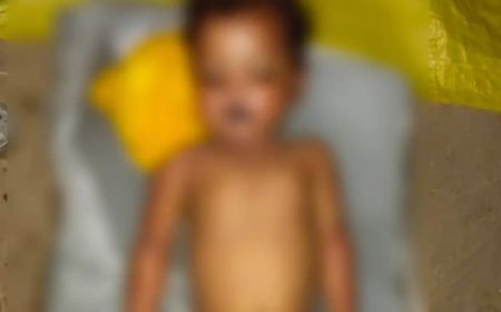 Hardoi: घर में खेल रही 2 वर्षीय मासूम की सांप के डसने से मौत