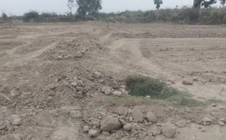 Hardoi: खेत की मेंड तोड़ने को लेकर विवाद, बुजुर्ग को लाठी-डंडों से पीटा