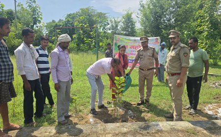 Sitapur: 'एक पेड़ मां के नाम' अभियान के तहत चंद्रावल में हुआ पौधरोपण