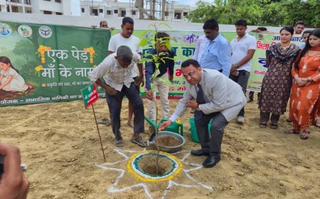 सीतापुर जिला न्यायालय और जजेज कॉलोनी में पर्यावरण दिवस पर हुआ पौधरोपण, जजों और कर्मचारियों ने लिया पौधों के संरक्षण का संकल्प
