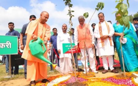 यूपी में पौधरोपण महायज्ञ: 13 प्रमुख नदियों के किनारे लगेंगे 3.83 करोड़ से अधिक पौधे, सरकार ने तैयार किया बड़ा प्लान