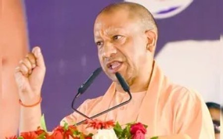 यूपी में हरित क्रांति की तैयारी: उच्च शिक्षा विभाग लगाएगा 20 लाख पौधे, कॉलेजों में पेड़ों से बनेगी बाउंड्री