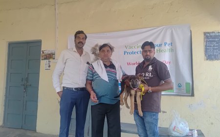 Hathras: विश्व जूनोसिस दिवस पर सासनी में निःशुल्क रेबीज टीकाकरण शिविर आयोजित