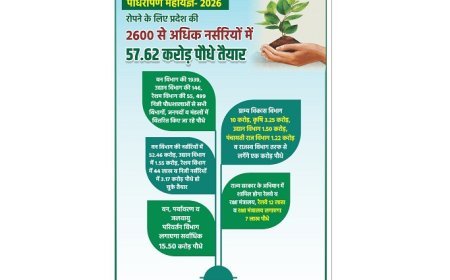 Mega Tree Plantation Drive 2026:  रोपने के लिए प्रदेश की 2600 से अधिक नर्सरियों में 57.62 करोड़ पौधे तैयार