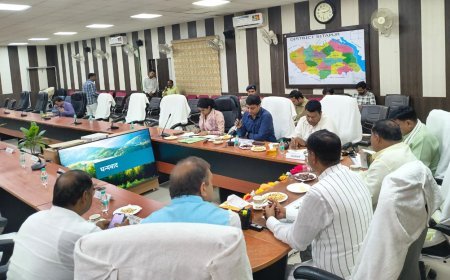 सीतापुर में वृक्षारोपण महायज्ञ को लेकर कलेक्ट्रेट में बड़ी बैठक, विधायकों ने दिए नदियों के किनारे और गौशालाओं में पौधे लगाने के सुझाव