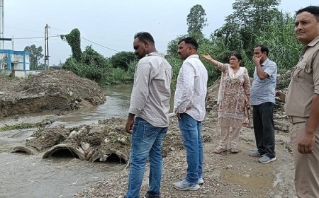 एसडीएम ने बेरिया रोड लेवड़ा पुल चकरपुर में स्थित लेवड़ा पुल का निरीक्षण किया 