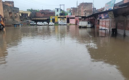Deoband: उत्तराखंड से आया पानी बचीटी गांव में घुसा, फसलों के नुकसान की आशंका