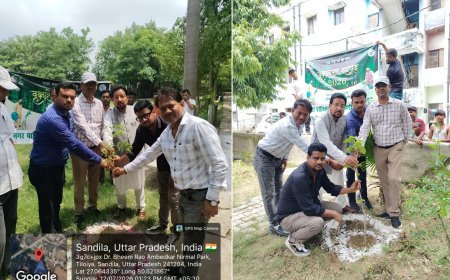 Hardoi News: संडीला में एक पेड़ मां के नाम अभियान के तहत नगर पालिका ने किया वृहद पौधारोपण