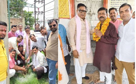 Hardoi News: संडीला के 56 बूथों पर बीजेपी का वृक्षारोपण अभियान, मीतो और कामीपुर के बाद शहर में रोपे गए पौधे
