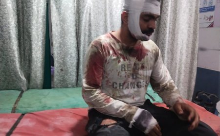 Deoband Accident: देवबंद में नीलगाय से टकराई बाइक, हादसे में एक युवक की मौत, बास्केटबॉल खिलाड़ी गंभीर