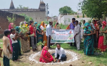 Hardoi News: सांडी के कई गांवों में महिलाओं ने संभाली कमान, 'एक पेड़ मां के नाम' अभियान के तहत रोपे गए पौधे