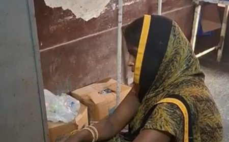 Harpalpur News: हरपालपुर में बंदरों के हमले से बचने के चक्कर में सीढ़ियों से गिरी महिला, अस्पताल में भर्ती