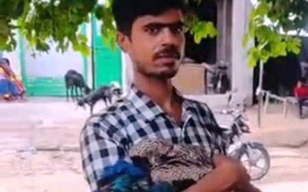 Hardoi News: हरपालपुर में आवारा कुत्तों के हमले से घायल हुआ राष्ट्रीय पक्षी मोर, युवक ने इस तरह बचाई जान