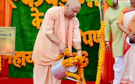 UP Mega Plantation Drive: यूपी के शिक्षण संस्थानों में रोपे गए 43 लाख पौधे, शिक्षा विभाग ने बनाया रिकॉर्ड