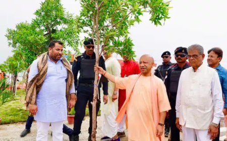Gorakhpur News: गोरखपुर में सीएम योगी ने लगाया मौलश्री का पौधा, कहा- पेड़ों के कटान से खड़ा होगा जल संकट