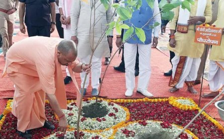 Gorakhpur News: गोरखपुर में सीएम योगी ने किया पौधरोपण महायज्ञ का आगाज, एक दिन में 35 करोड़ पौधे लगाने का रिकॉर्ड लक्ष्य