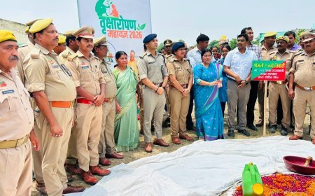 Hardoi News: हरदोई में वृक्षारोपण महायज्ञ के तहत रोपे गए 72 लाख से अधिक पौधे, लक्ष्य से आगे निकला जनपद