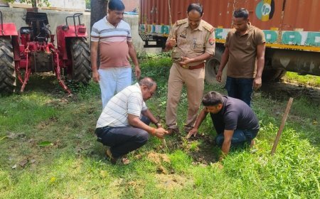 Hardoi News: हरदोई पुलिस का बड़ा अभियान, विभिन्न थानों और पुलिस लाइन परिसर में किया गया सघन पौधारोपण
