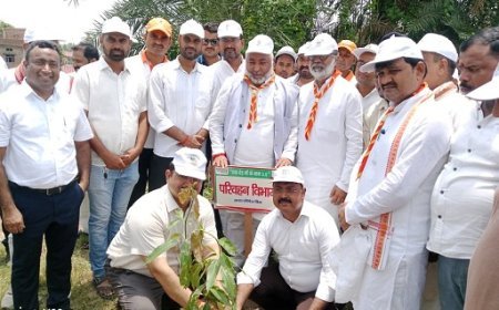 Ballia: बलिया में वृक्षारोपण महायज्ञ-2026 का शुभारंभ, परिवहन मंत्री बोले—'एक पेड़ मां के नाम' जरूर लगाएं