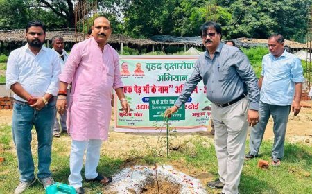 Hardoi: उद्यान विभाग ने वृक्षारोपण महायज्ञ में लगाया 3.90 लाख पौधे, 5.20 लाख के लक्ष्य को किया पूरा