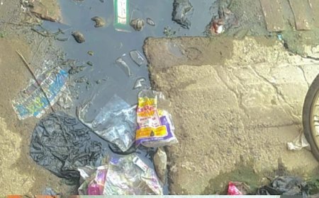 सीतापुर के राठौरपुर में सरकारी नल के पास जलभराव से ग्रामीण परेशान, गंभीर बीमारियों के फैलने का खतरा