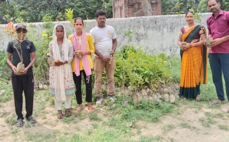 सीतापुर के खैराबाद में पर्यावरण संरक्षण की बड़ी मुहिम: फाउंडेशन ने बांटे 1000 पौधे, 505 का किया रोपण