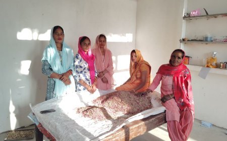 यूपी की हर्बल टी की सुगंध पहुंची अमेरिका-यूरोप, यूपी की महिलाओं ने बनाई 'विदुर हर्बल टी', इंग्लैंड, जर्मनी और फ्रांस में फ्रेंचाइजी खोलने की तैयारी