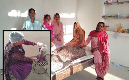 यूपी की हर्बल टी की सुगंध पहुंची अमेरिका-यूरोप: महिलाओं ने बनाई 'विदुर हर्बल टी', इंग्लैंड, जर्मनी और फ्रांस में फ्रेंचाइजी खोलने की तैयारी