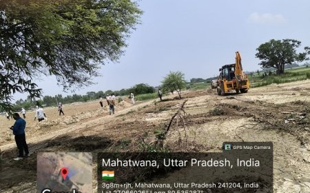 Hardoi: पशुचर भूमि से हटाया गया अवैध कब्जा, कब्जा मुक्त भूमि पर कराया गया वृक्षारोपण