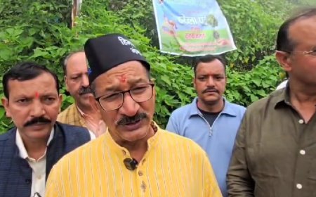 हरेला पर हरियाली का संकल्प माल रोड पर लगे छायादार और फूलदार पौधे, हर पौधे का बना ‘संरक्षक’