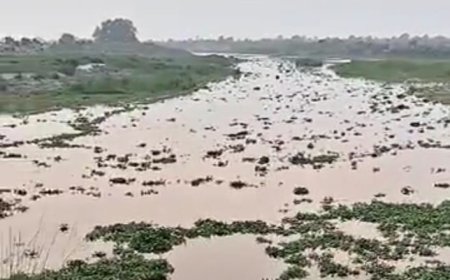 गर्रा नदी का बढ़ा जलस्तर, जलकुंभी ने बढ़ाई ग्रामीणों की चिंता; बाढ़ की आशंका से सहमे लोग