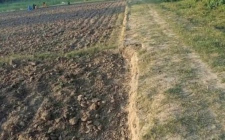 मेड़ विवाद में मां-बेटे की पिटाई, चार के खिलाफ एफआईआर दर्ज