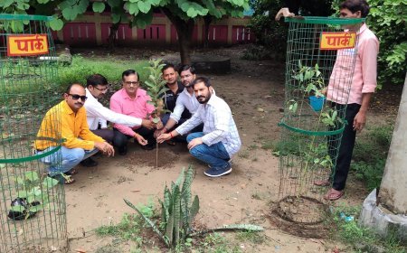 उच्च शिक्षा राज्यमंत्री रजनी तिवारी का 53वां जन्मदिन सेवा भाव से मनाया, शाहाबाद अस्पताल में बांटे फल और किया पौधारोपण