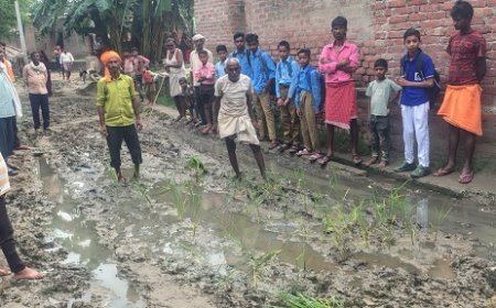 Hardoi: सड़क बनी धान का खेत- आक्रोशित ग्रामवासियों ने सड़क पर भरे दलदल में की धान की रोपाई, वर्षों से बदहाल सड़क के विरोध में अनोखा प्रदर्शन