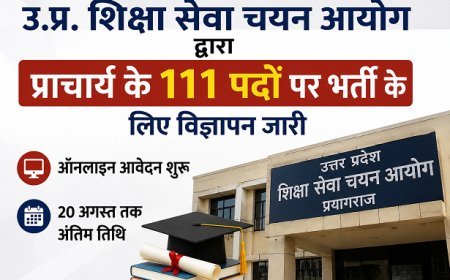 यूपी शिक्षा सेवा चयन आयोग ने प्राचार्य के 111 पदों पर निकाली भर्ती, ऑनलाइन आवेदन शुरू; 20 अगस्त तक करें आवेदन