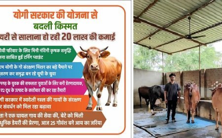 योगी सरकार की डेयरी योजना से बदली युवक की तकदीर, सालाना 20 लाख की कमाई का बना मॉडल