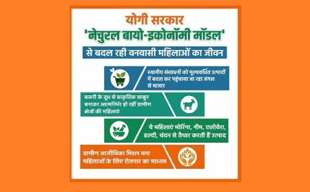 जंगल से बाजार तक: योगी सरकार का बायो-इकोनॉमी मॉडल बदल रहा वनवासी महिलाओं का जीवन