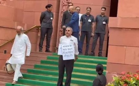Kalyan Banerjee Suspension: लोकसभा से निलंबित होने के बाद भी नहीं थमे कल्याण बनर्जी, संसद परिसर में अकेले दी आवाज