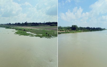 Hardoi: गर्रा नदी के उफान से कटियारी में तबाही: 50 बीघा फसलें जलमग्न, किसानों को भारी आर्थिक नुकसान