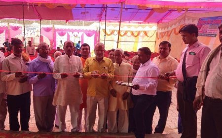 Hathras: बढ़रिया नवमी पर 11 जोड़े परिणय सूत्र में बंधे, सामूहिक विवाह में उमड़ा जनसैलाब