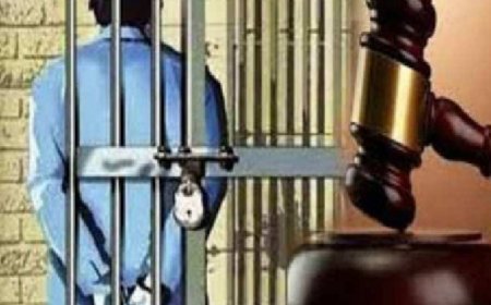 Hardoi: दुष्कर्म व पॉक्सो मामले में दोषी को 7 साल की सजा, 20 हजार रुपये का अर्थदंड