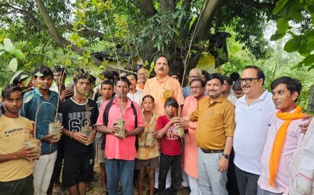 Hardoi: विधायक माधवेन्द्र प्रताप सिंह 'रानू' ने किया फलदार वृक्षों का रोपण, ग्रामवासियों को वितरित किए पौधे