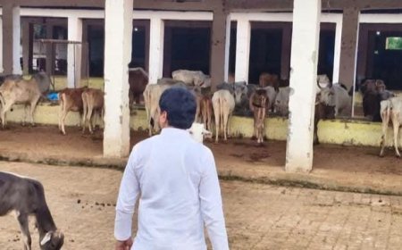 Sitapur News: खैराबाद में नगर पालिका अध्यक्ष प्रतिनिधि ने किया विकास कार्यों और गौशाला का निरीक्षण