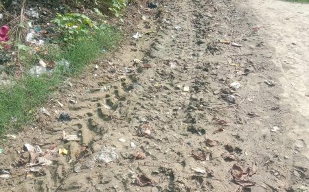 Sitapur News: सकरन की भैंसहा ग्राम पंचायत में विकास कार्य ठप, ग्रामीणों ने अधिकारियों से की शिकायत