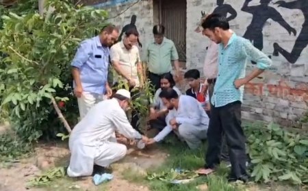 Sambhal News: सांसें बचानी हैं तो पेड़ लगाएं, अब्बासी सोसाइटी ने स्टेडियम में चलाया पौधारोपण अभियान
