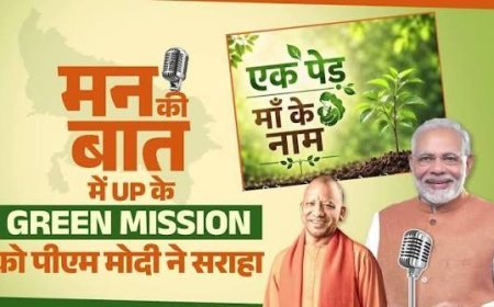 Mann Ki Baat: 'एक पेड़ मां के नाम' अभियान में यूपी के 35 करोड़ पौधरोपण पर प्रधानमंत्री मोदी ने जताई खुशी