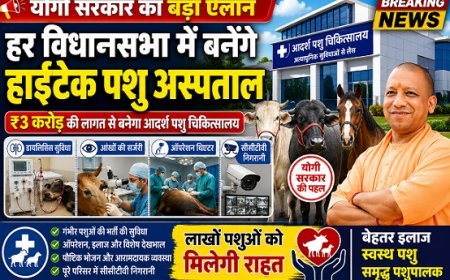 योगी सरकार का बड़ा ऐलान: हर विधानसभा में ₹3 करोड़ सेयोगी सरकार का बड़ा ऐलान: हर विधानसभा में ₹3 करोड़ से बनेंगे हाईटेक पशु अस्पताल, डायलिसिस और आई सर्जरी की भी होगी सुविधा बनेंगे हाईटेक पशु अस्पताल, डायलिसिस और आई सर्जरी की भी होगी सुविधा