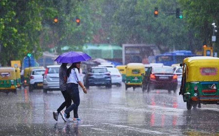 Delhi NCR Weather Alert: दिल्ली-NCR में झमाझम बारिश, IMD ने जारी किया 5 दिनों का अलर्ट; जानें मौसम का ताजा हाल