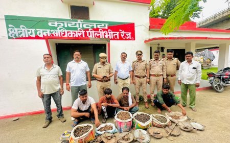 Pilibhit: स्टेशन चौराहे पर वन विभाग की कार्रवाई, 8 किलो कटरुआ के साथ चार लोग पकड़े गए
